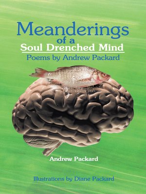 cover image of Meanderings of a Soul Drenched Mind